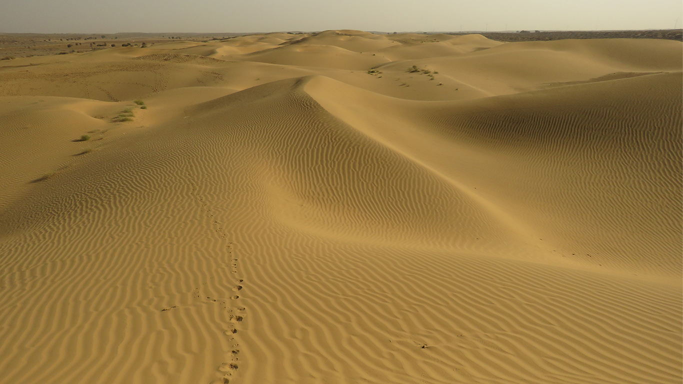 Desert habitats of India