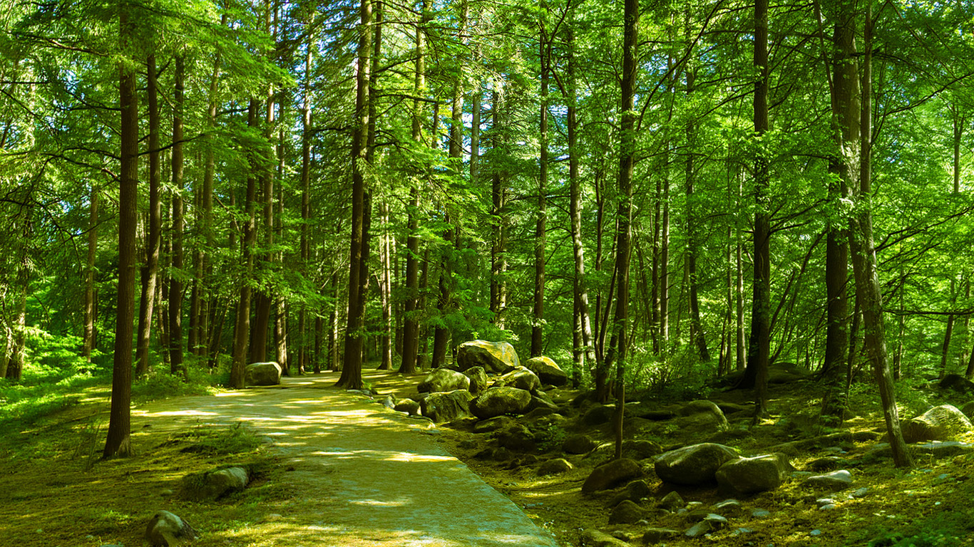 Forest habitats of India