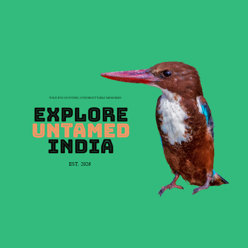 Explore Untamed India
